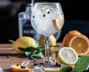 Glas mit Gin daneben dekoriert Zitronen, Orangen und Eiswürfel